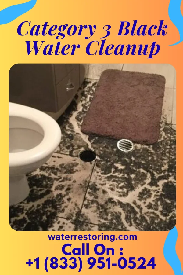 Category 3 Black Water Cleanup in Hartford City, WV