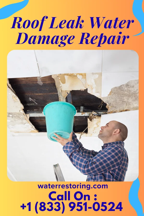 Roof Leak Water Damage Repair in Hartford City, WV