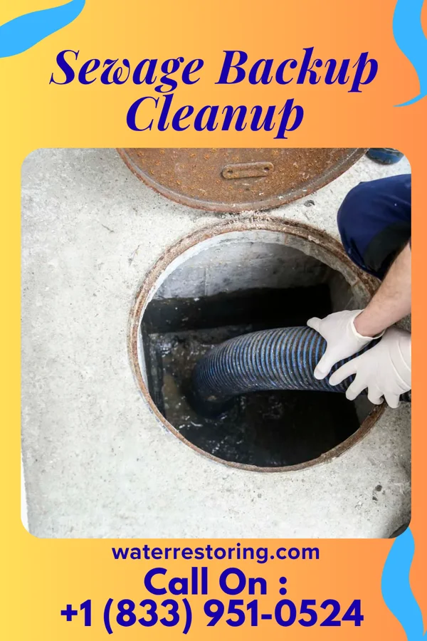 Sewage Backup Cleanup in Hartford City, WV