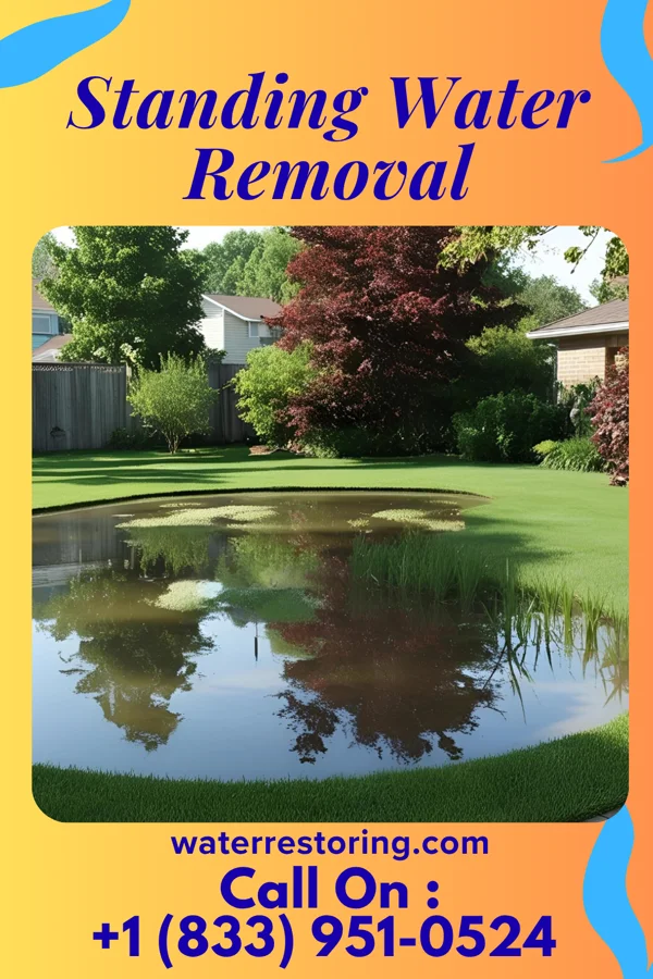 Standing Water Removal in Hartford City, WV